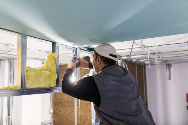 Best Attic Insulation Installation  in Groveland, ID